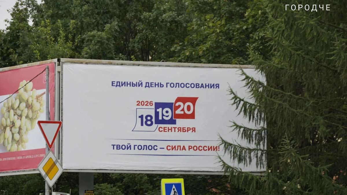 выборы