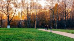 В Макаринской роще Череповца доделывают входную группу и тротуар