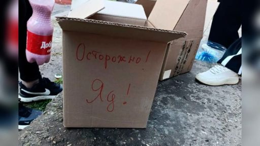 В Череповце решили дополнительно обработать от крыс мусорную площадку