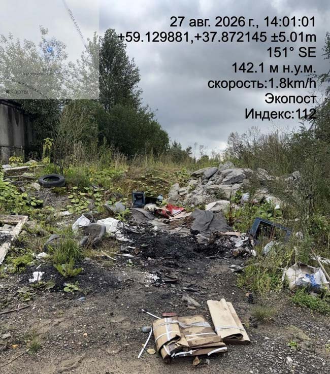 «Эколог